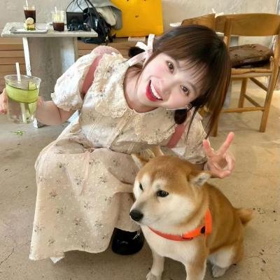 我为电影狂